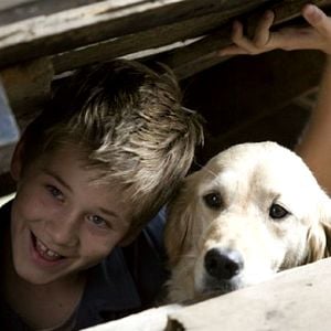 Foto Confusão pra Cachorro