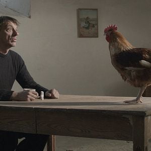 Foto A Quinta Estação