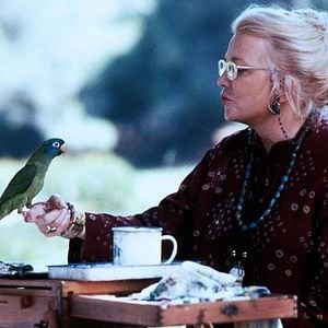 Foto Paulie - Um Papagaio Bom de Papo