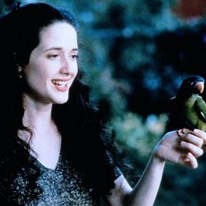 Foto Paulie - Um Papagaio Bom de Papo