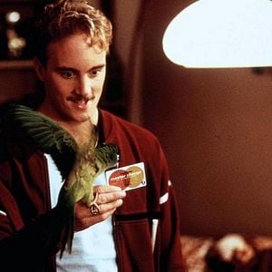 Foto Paulie - Um Papagaio Bom de Papo