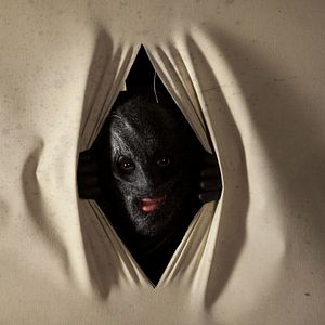 Foto O Colecionador de Corpos 2