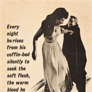 Foto O Vampiro da Noite