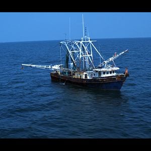 Foto Maré de Sangue