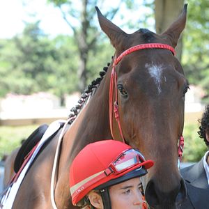 Foto Vahina Giocante