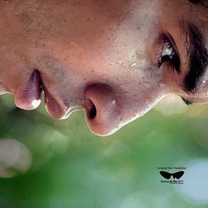 Foto A Floresta de Jonathas