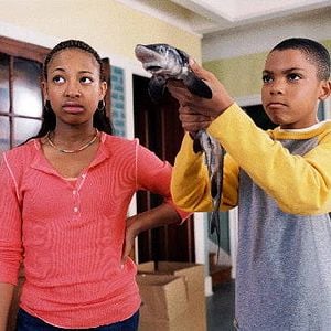 Foto Uma Casa de Pernas Pro Ar