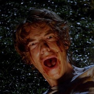 Foto Pânico na Floresta 5