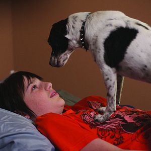 Foto Cachorro Vampiro