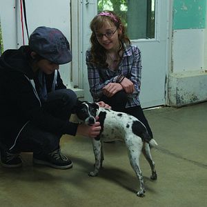 Foto Cachorro Vampiro