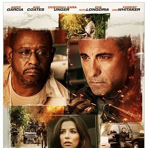 Foto Em Busca Pela Verdade