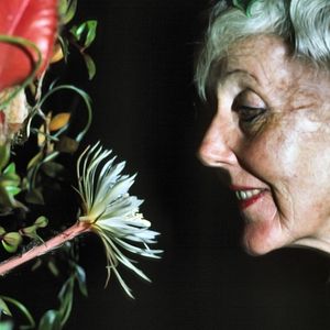 Foto Margaret Mee e a Flor da Lua