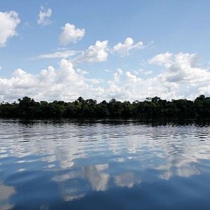 Foto Amazônia Eterna
