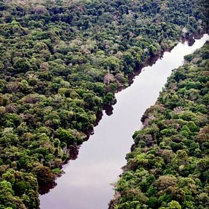 Foto Amazônia Eterna