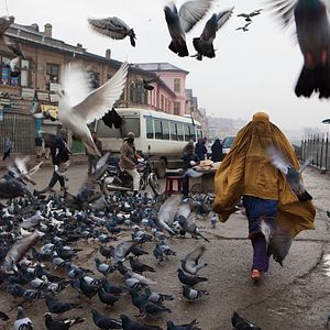 Foto A Pedra de Paciência