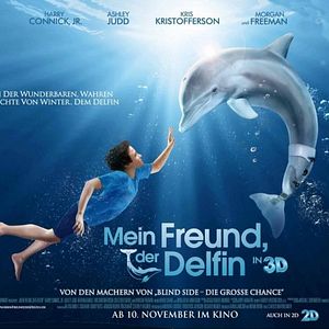 Foto Winter, o Golfinho