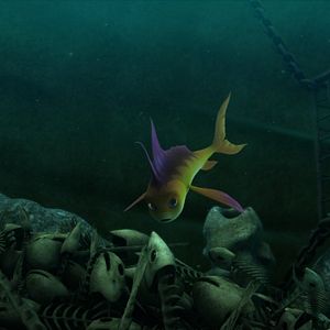 Foto O Mar Não Está Prá Peixe: Tubarões à Vista