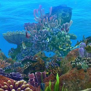 Foto O Mar Não Está Prá Peixe: Tubarões à Vista