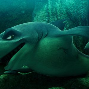 Foto O Mar Não Está Prá Peixe: Tubarões à Vista