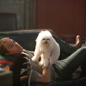 Foto Sete Psicopatas e um Shih Tzu