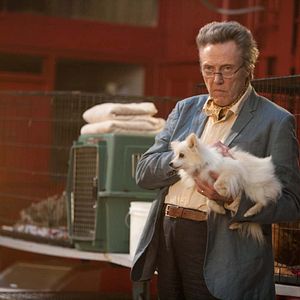 Foto Sete Psicopatas e um Shih Tzu