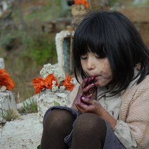 Foto Violeta Foi Para o Céu