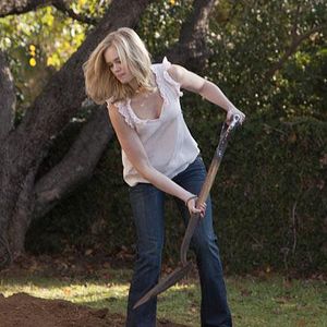 Foto Assassinato Sem Culpa