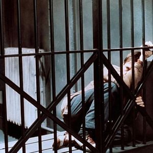 Foto O Ovo da Serpente