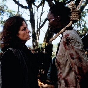 Foto Nas Montanhas dos Gorilas