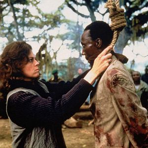 Foto Nas Montanhas dos Gorilas