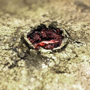 Foto Jogos Mortais 3