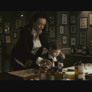 Foto O Segredo da Borboleta