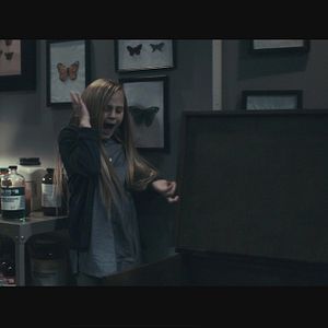 Foto O Segredo da Borboleta