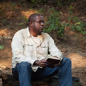 Foto Em Busca Pela Verdade