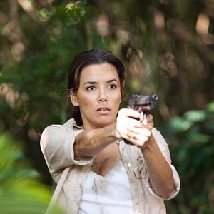 Foto Em Busca Pela Verdade