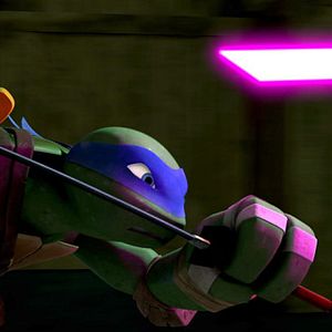 Foto Turtle Ninjas (2012)