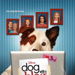 Foto Stan, o Cão Blogueiro