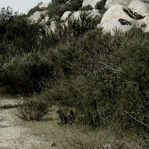 Foto Aí Vem o Diabo