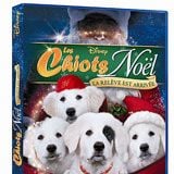 Foto Os Filhotes da Mamãe Noel