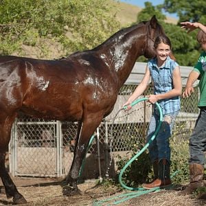 Foto Meu Amigo Harley