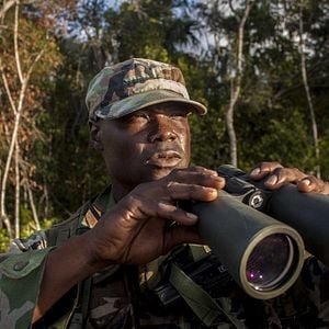 Foto Jurassic Attack