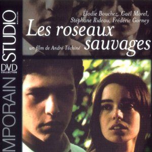 Foto Rosas Selvagens