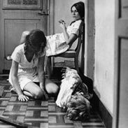 Foto Matou a Família e Foi ao Cinema