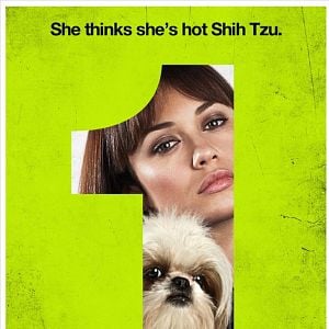 Foto Sete Psicopatas e um Shih Tzu