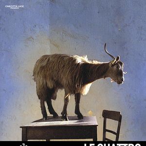 Foto As Quatro Voltas