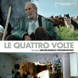 Foto As Quatro Voltas