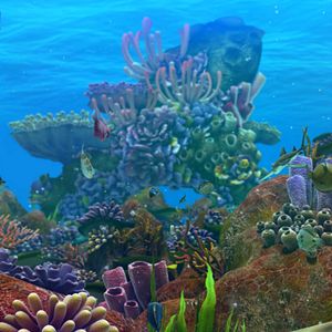 Foto O Mar Não Está Prá Peixe: Tubarões à Vista