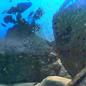 Foto O Mar Não Está Prá Peixe: Tubarões à Vista