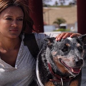 Foto A Invasão Zumbi