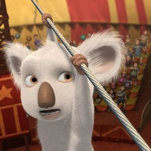 Foto Outback - Uma Galera Animal